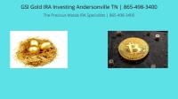  GSI Gold IRA Investing Andersonville TN image 3